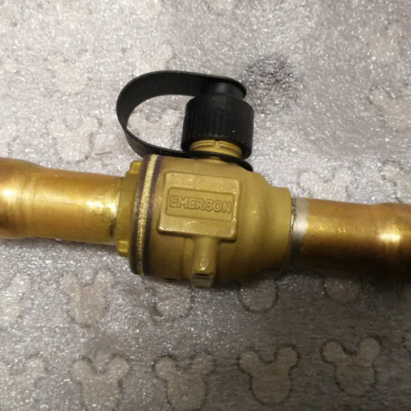 供应 Emerson EHS 阀门 BVE-078