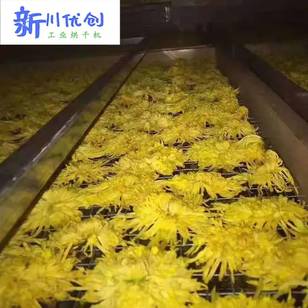 ��˿�ʾտ��� ���պ淿 ̥�պ�ɷ� �Ĵ���ɷ�