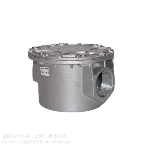 DUNGS燃气过滤器GF520/1螺纹连接2