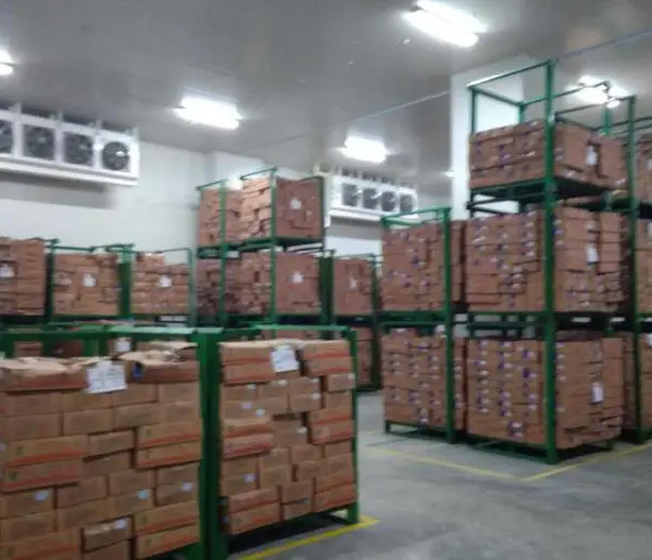 苹果冷库每立方造价是多少?苹果气调库方案设计