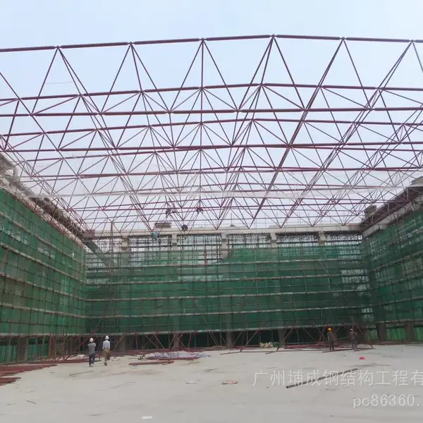 广东学校游泳馆网架加工厂 户外加油站网架罩棚工程 景区艺术网架架造型 承重性好 可定制