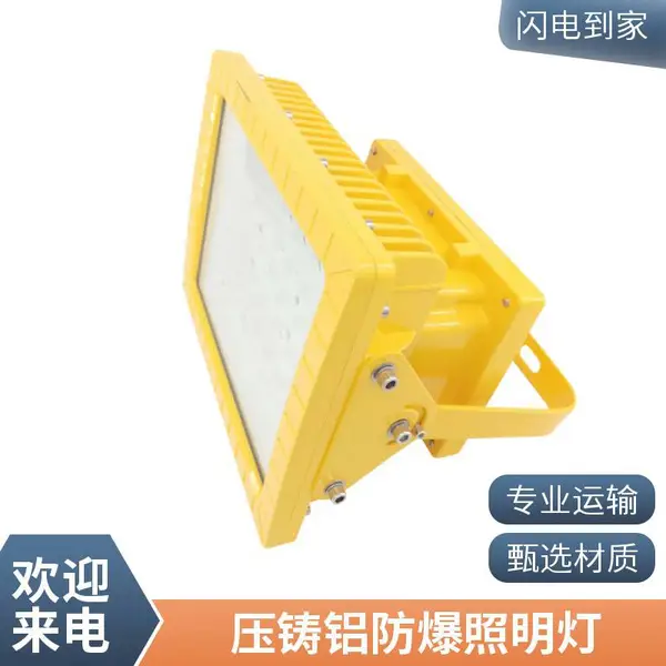 防爆投光灯 200W LED泛光灯 石油化工企业户外装置区投射照明厂家直供