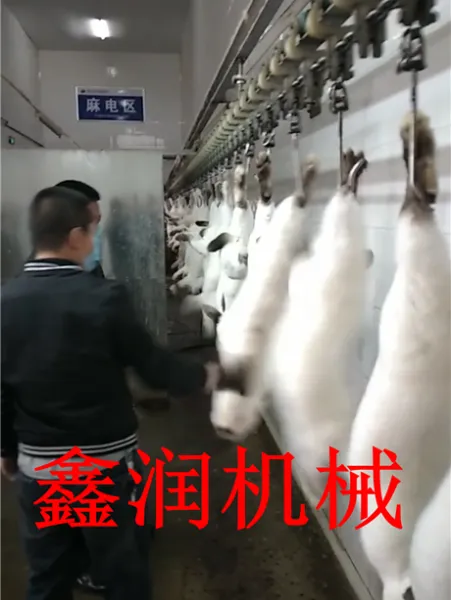 獭兔宰杀流水线设计安装厂家