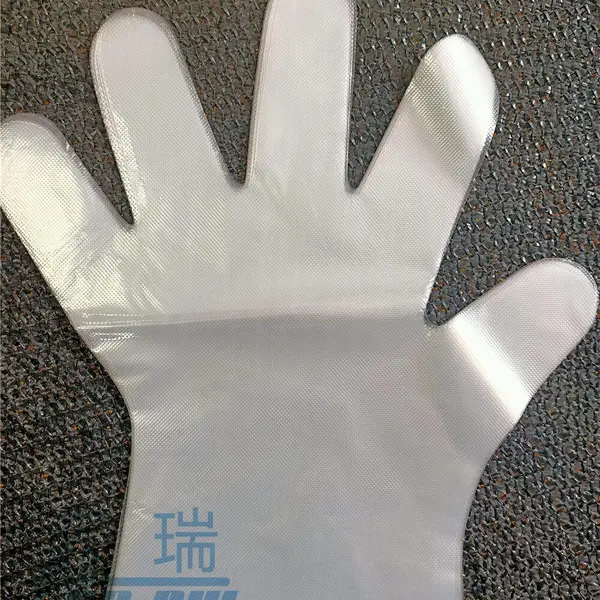 供应蓝瑞一次性PE手套价格