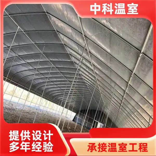栽培六 安大棚 单体温室六 安经济技术开发 美观 中科 透光 ZKLAJJKFQ-05