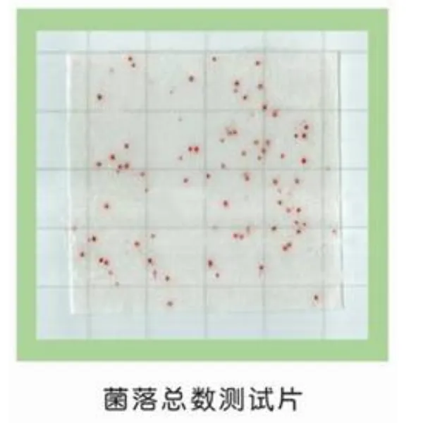 副溶血弧菌检测方法 检验纸片 生化显色计数法