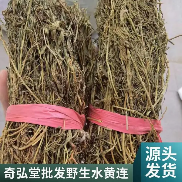 奇弘堂出售水灵芝 水黄连 新货 无硫 精选 道地药材 产地直发