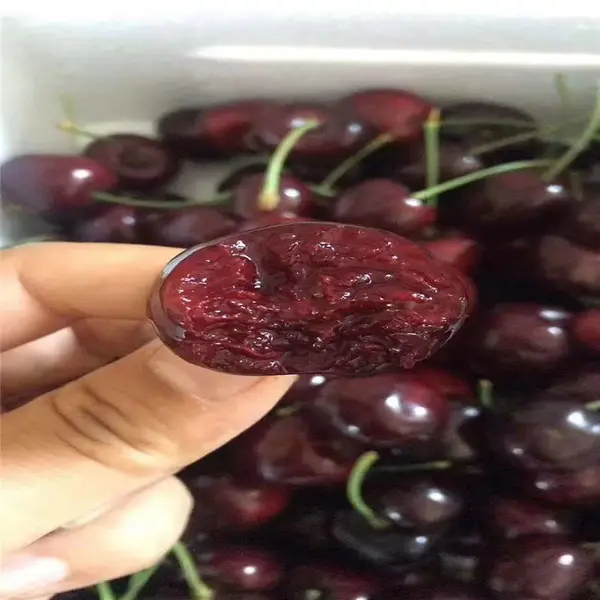 �Ϻ�ӣ��Ʒ���� ӣ������Ʒ���ĸ��� ������ֲӣ����