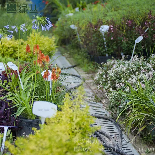 阳台私家花园/别墅庭院设计与施工/花境家庭园艺植物/绿丛园林