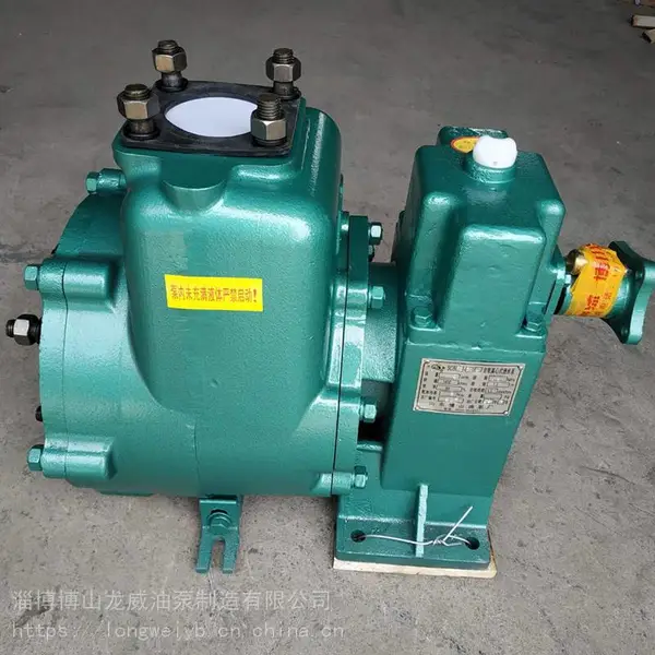 直销淄博龙威牌65QSB-50/110N型自吸离心式洒水泵