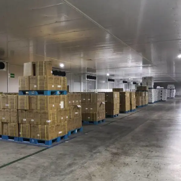 广州保税危险品仓库保税恒温仓库保税冷冻-18度仓库出租