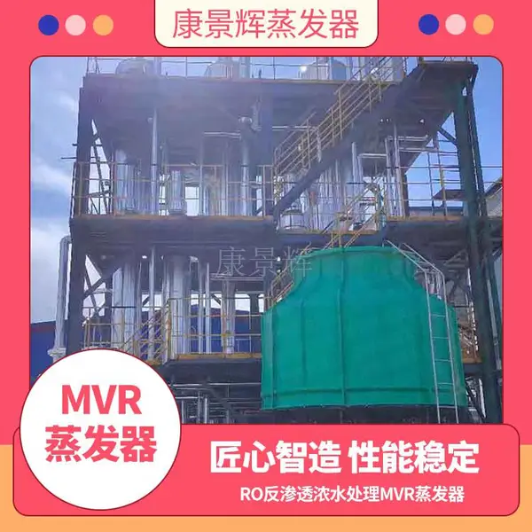 腌制产品废水处理双效蒸发器 肠衣蛋白双效浓缩器可定制 康景辉