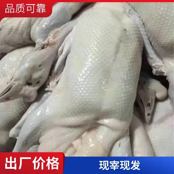 冰鲜包装 风味独特 黑鬃鹅 现杀全净膛 肉质鲜嫩特产优选 一手三鸟