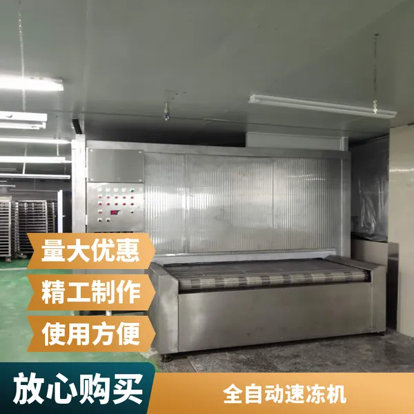大型牛排速冻机器 350型 中餐店设备 不锈钢材质