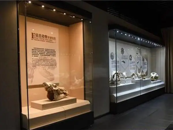 主题教室陈列展柜设计定制 标本室样品展示柜制作