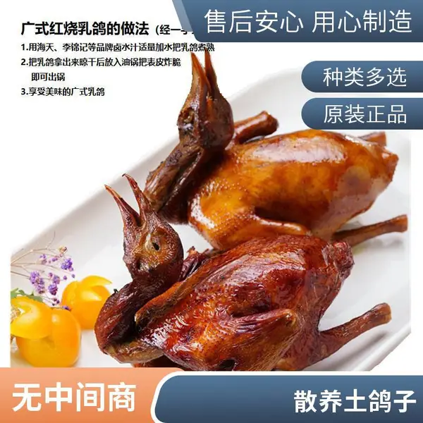 新鲜鸽子肉 适合烧腊烹饪 饭店家庭滋补养生优选食材