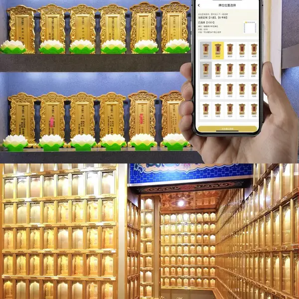 ��Ժ���������ܻ�����