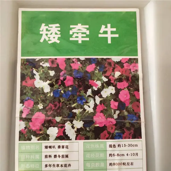 优质新采摘草花种子 矮牵牛种子 发芽*** 价格便宜 ***