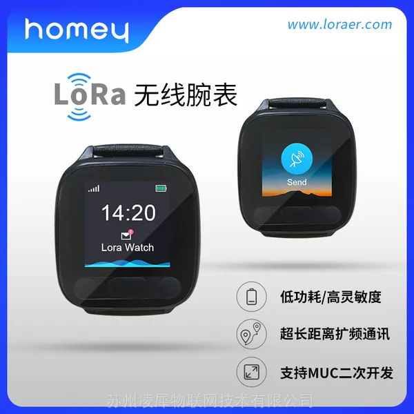 LoRa健康定位通知腕表