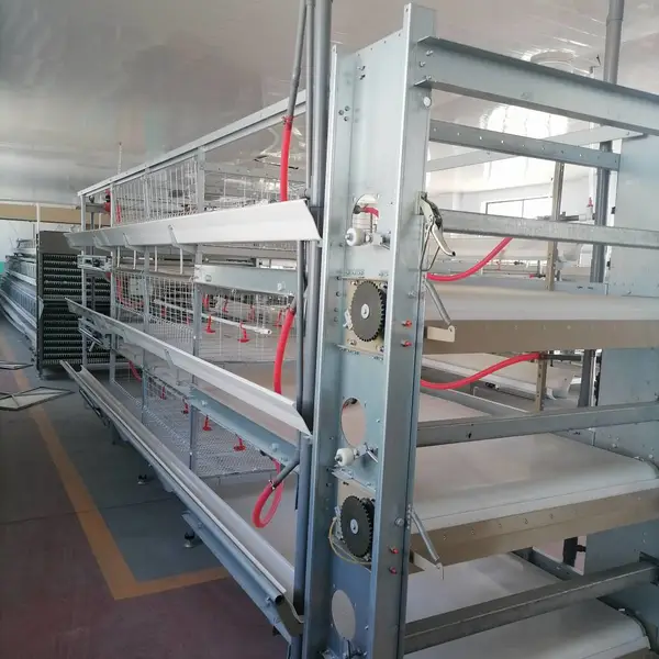 自动化养鸡设备 框架式蛋鸡笼肉鸡笼 水线料线料塔 层叠式鸡笼设备 三层四层笼养设备50组起批