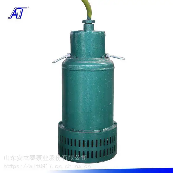 水泵7.5kw 离心式潜水泵 矿坑排污排沙优先选择 山东安立泰泵业