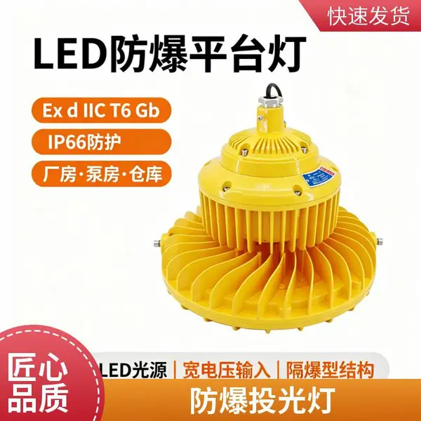 吸顶防爆灯防爆泛光灯 LED 防爆投光灯工业场所防爆照明