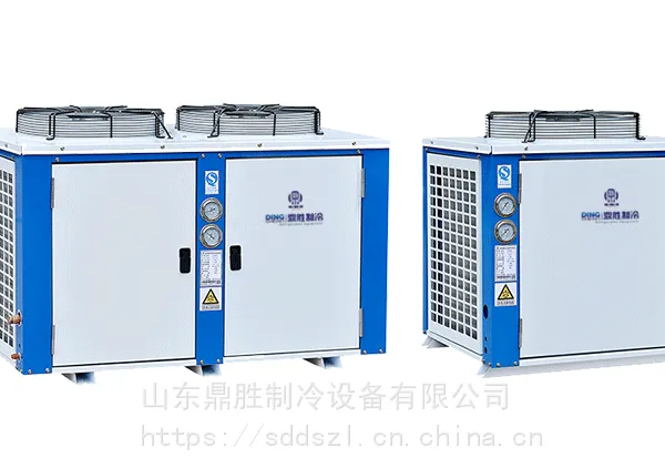 供应鼎胜u型箱式氟利昂制冷机组比泽尔制冷机组