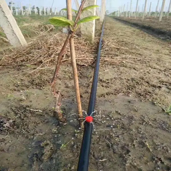 丘陵果园安装微喷滴灌每亩投资多少钱亿碧源报价