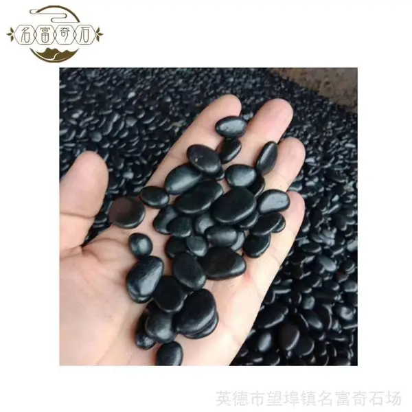 广东陆丰杂色鹅卵石 园林绿化造景石 公园点缀石铺路石