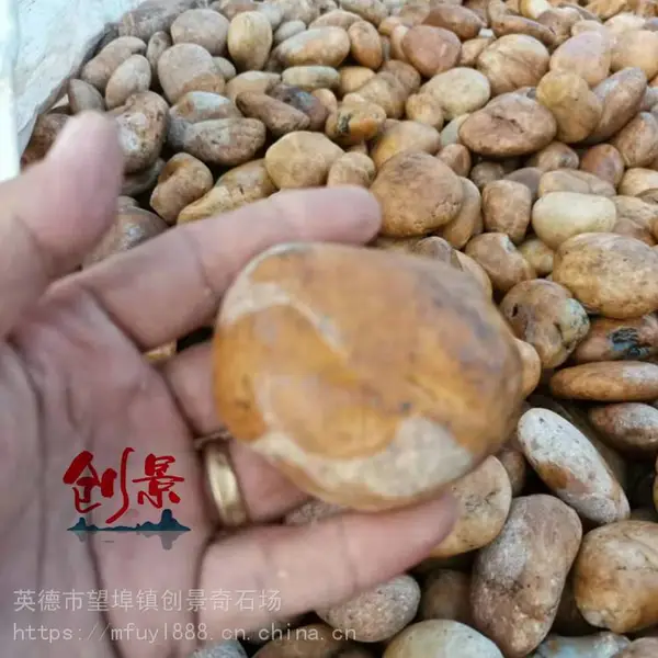 多种颜色鹅卵石图片-污水处理鹅卵石填料-惠州五彩雨花石原产地