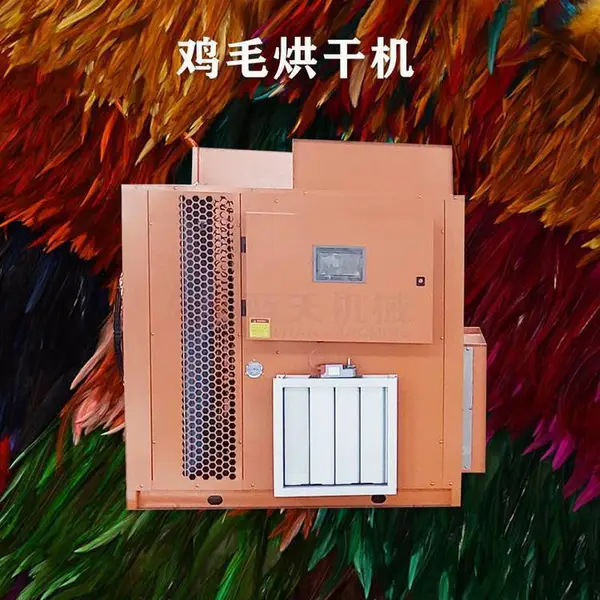 ��ë��ɳ� ��ë��ɻ� ����