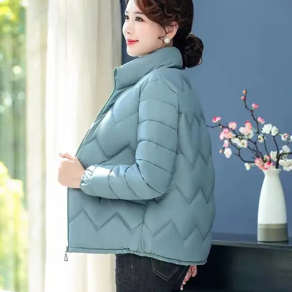 ����װ�޷����¼Ӻ�ů������ñ��������Ůװ����40��50��������