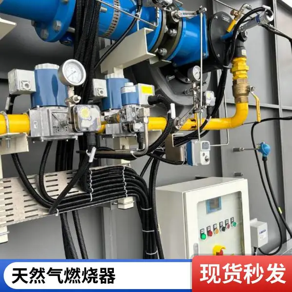 燃气燃烧器 低氮燃烧 燃烧充分 节省燃料 节能环保 岱鼎