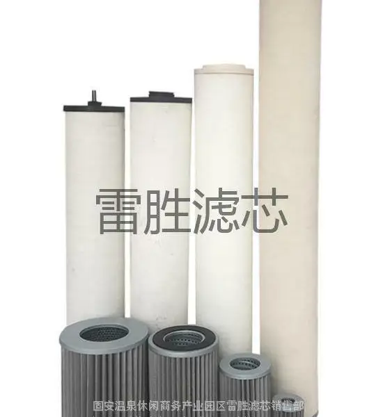 燃气过滤器 PCHG-372 天然气净化滤芯 雷胜 多种规格