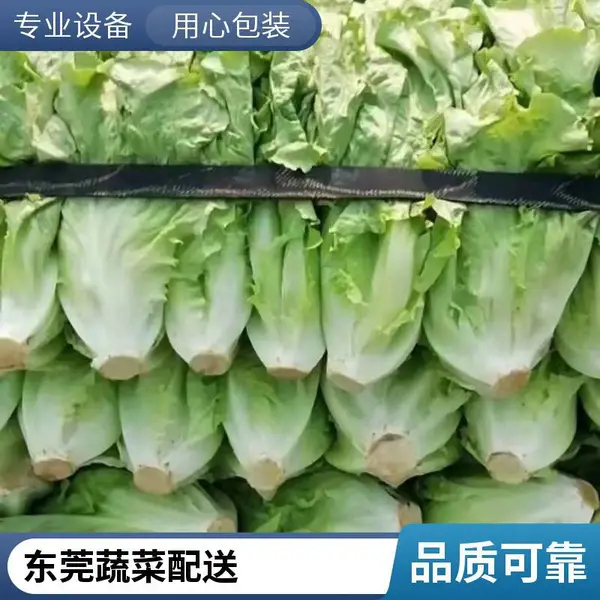 企业食堂蔬菜配送 佛山工业园区饭堂承包 工厂食堂承包