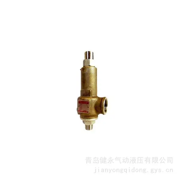 YNV 不锈钢全启式安全阀 FSV-5S/7S/10S 燃气螺纹高压气体储气罐泄压阀