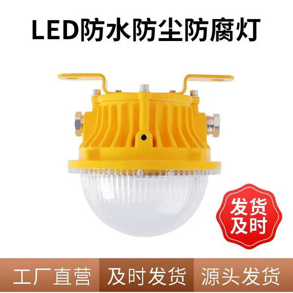 FGV1202/FGV1202防爆吸顶灯 户外防水LED隔爆投光灯20W