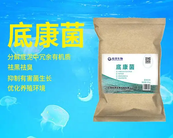 河南多元有机酸水产饲料添加剂技术解决供应商 欢迎来电 上海乾界生物科技供应