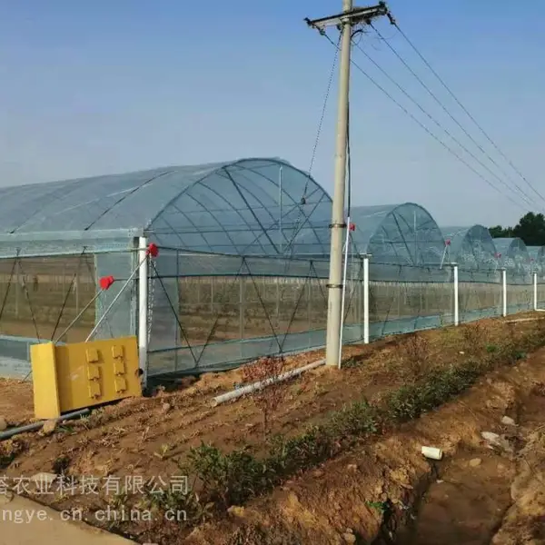 温室大棚的环境介绍 蔬菜大棚保温被 大棚技术 贝塔农业