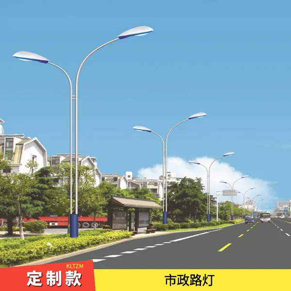 郑州LED道路灯价 市政亮化照明 10米高度 杆型订做 造型不限