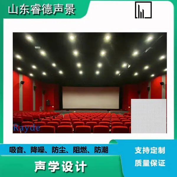 Rayde 电影院隔音吸音降噪 声学设计装修工程 施工家庭私人影院