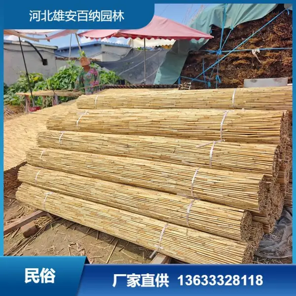盖房箔 芦苇箔 出口箔 3米宽 屋顶铺装 民俗装修 承接全国订单