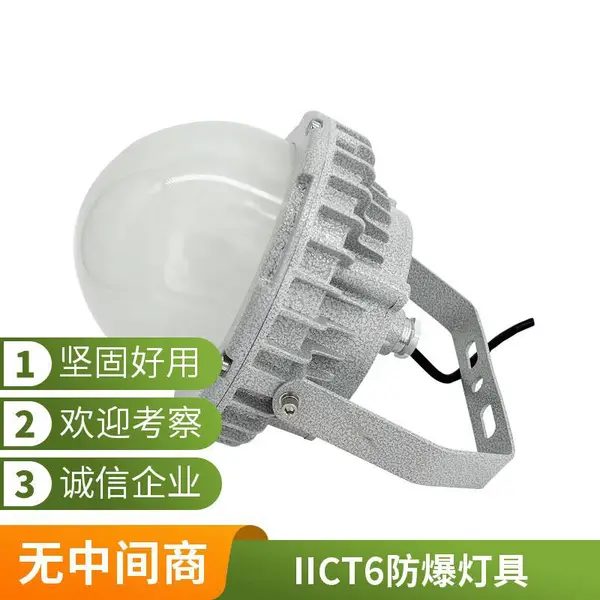 Exdb IICT6 防爆泛光灯 制药厂车间防爆平台灯 壁挂式 LED 灯具