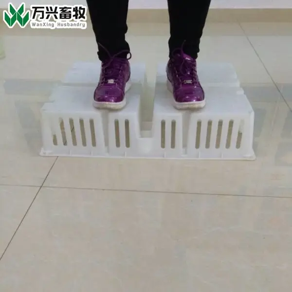 С�������ͼƬ ������ת�� С����������
