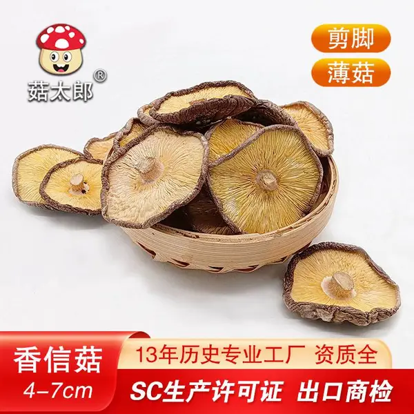 香信香菇 产地直发香味薄款香菇 南北干货大量批发 可出口商检