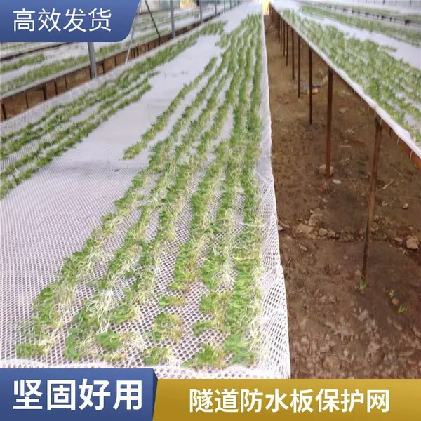 建筑工地用塑料平网 密目平纹网防尘覆盖 绿色网片现货供应