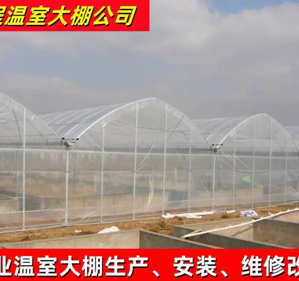 供应832型连栋薄膜大棚 连体温室大棚骨架 上海温室大棚 种植育苗温室大棚