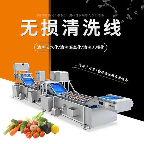 大型自动化流水线蔬菜清洗设备 净菜加工叶菜清洗机