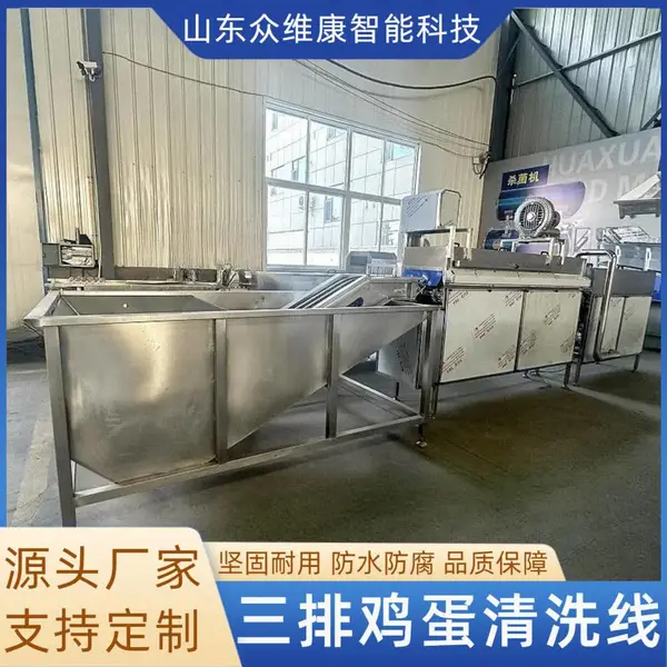 保洁蛋清洗喷码机 休闲零食生产流水线洗蛋机 烘焙加工蛋品清洗机