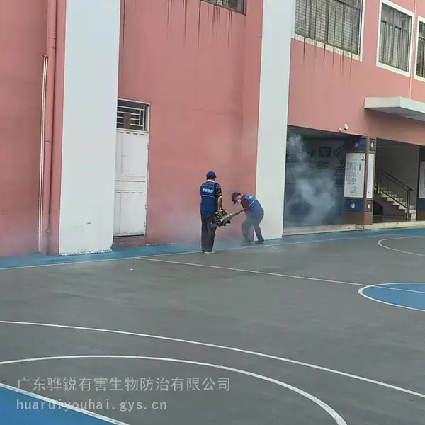 嘉兴灭苍蝇 嘉兴除虫灭鼠服务 解决复杂虫害问题